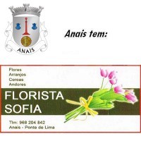 /album/florista/sofia-florista-jpg1/